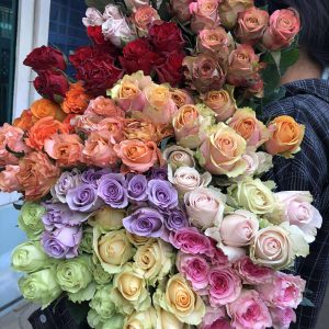 LA Rose ( LA နှင်းဆီ)