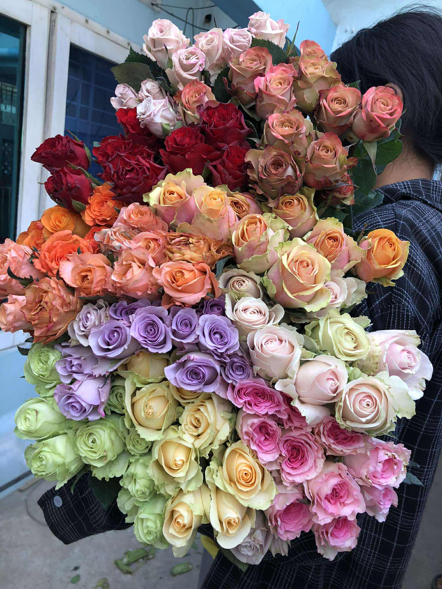 LA Rose ( LA နှင်းဆီ)