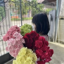 Carnation Big Import(ကာနေရှင်းခေါင်းကြီး)