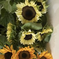 Sunflower (နေကြာ)