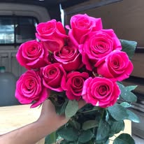 LA Rose ( LA နှင်းဆီ)