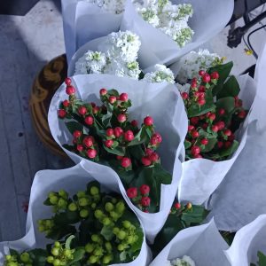 Apple Flower(ပန်းသီးပန်း)